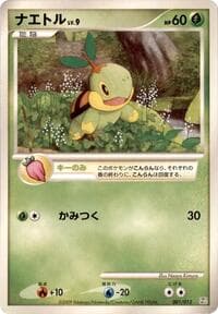 Turtwig