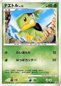 Turtwig - 027/DP-P