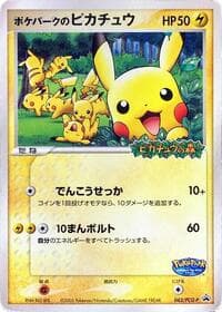 PokePark's Pikachu - 043/PCG-P