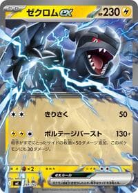 Zekrom ex
