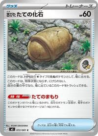 Antique Armor Fossil