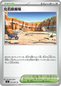 Fossil Excavation Site