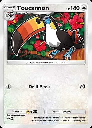 Toucannon