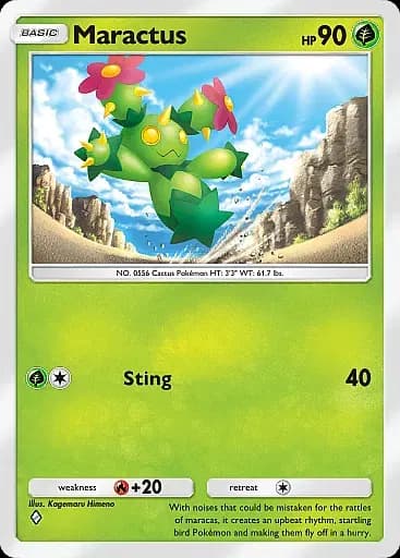 Maractus