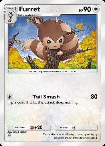 Furret