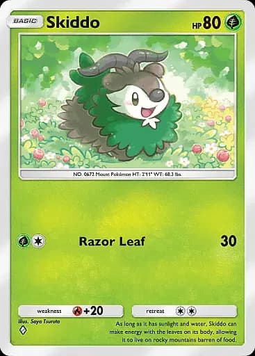 Skiddo