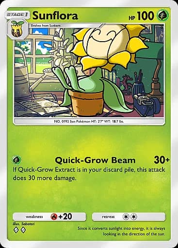 Sunflora