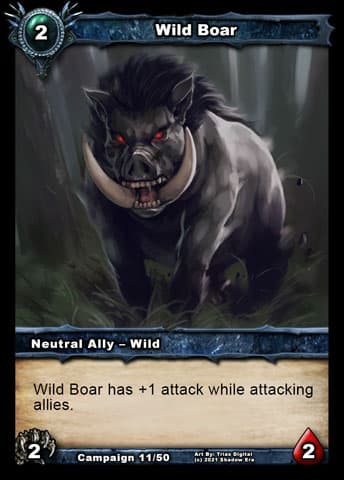 Wild Boar