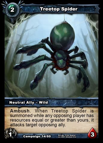Treetop Spider