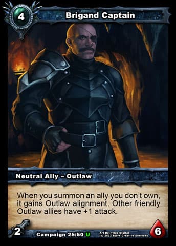 Brigand Captain