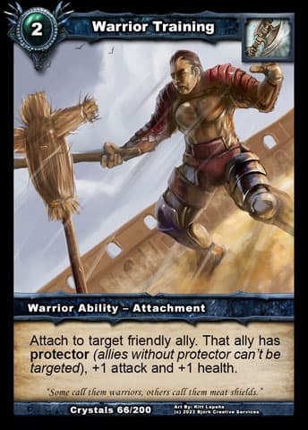 Warrior Training