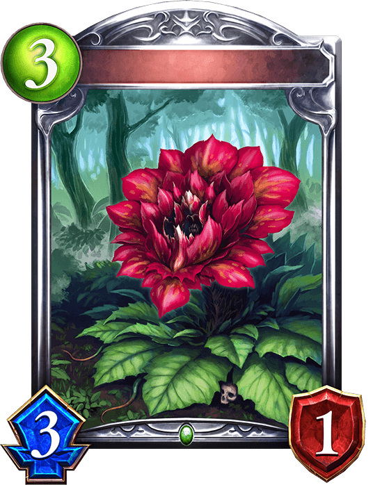 Carnivorous Flower