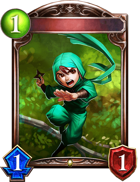 Ninja Trainee