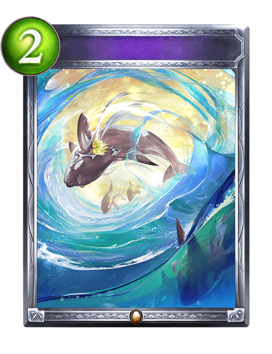 Waters of the Orca