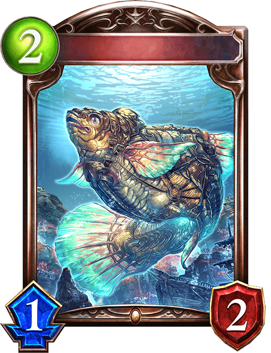 Tropical Grouper