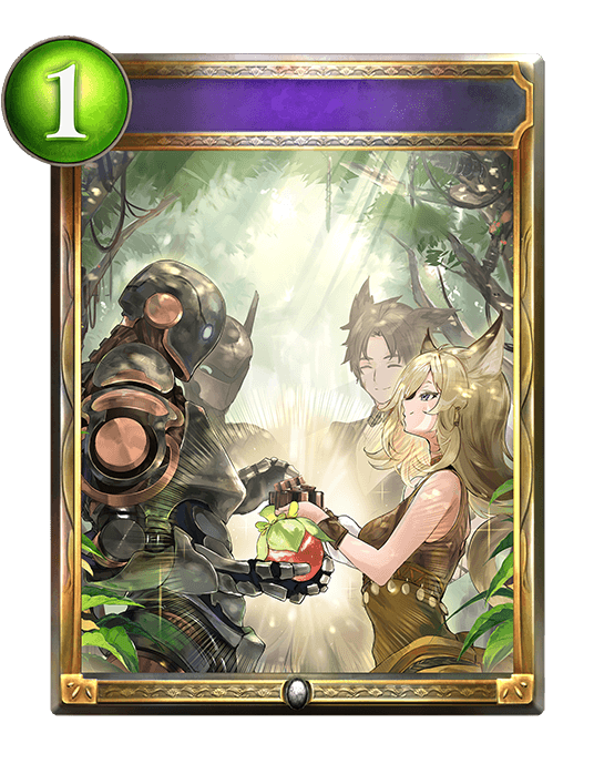 Naterra's Future