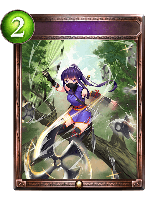 Ninja Onslaught