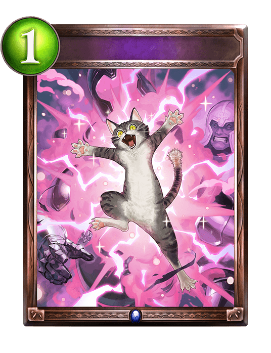 Feline Magic
