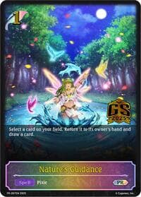 Nature's Guidance (PR-267EN)