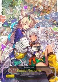 Shared Memories