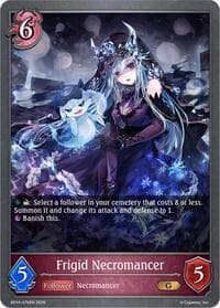 Frigid Necromancer