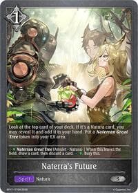 Naterra's Future