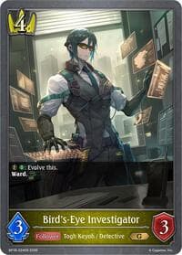 Bird's-Eye Investigator