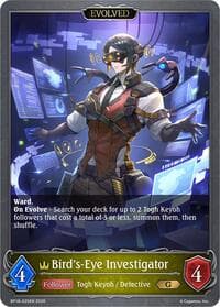 Bird's-Eye Investigator (Evolved)