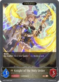 Knight of the Holy Order (Evolved)