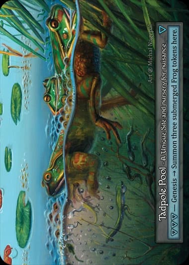 Tadpole Pool