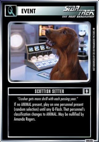 Scottish Setter