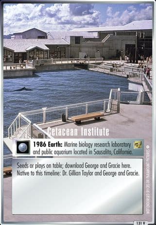 Cetacean Institute