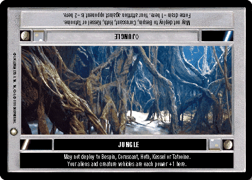 <>Jungle
