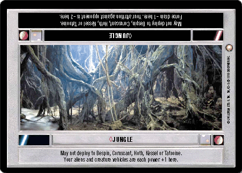 <>Jungle
