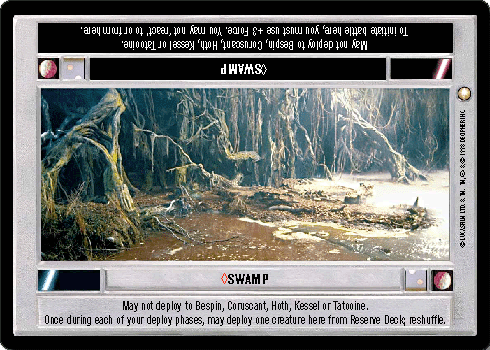 <>Swamp