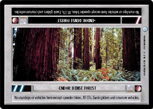 •Endor: Dense Forest