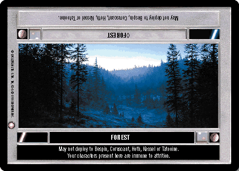 <>Forest