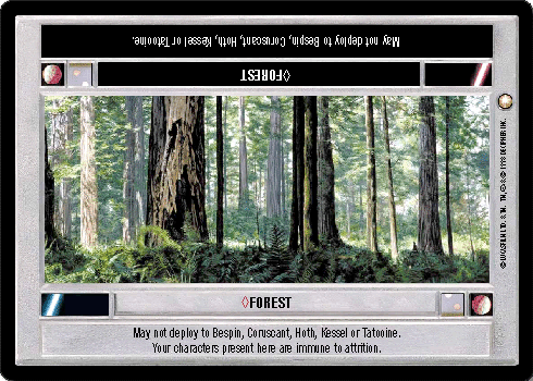 <>Forest