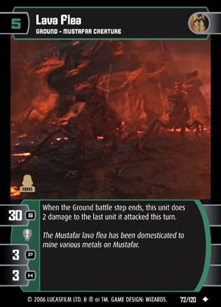 Lava Flea