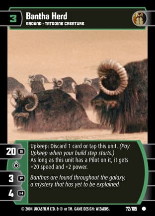 Bantha Herd