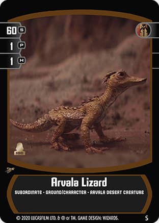 Arvala Lizard