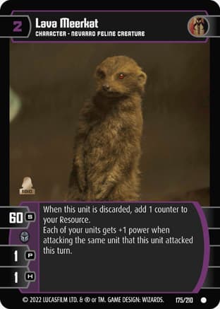 Lava Meerkat