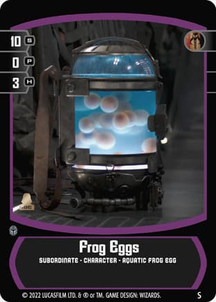 Frog Eggs
