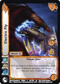 Electric Fly