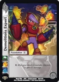 Demolitions Expert
