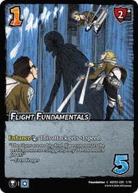 Flight Fundamentals (CD1)