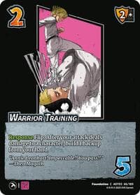 Warrior Training