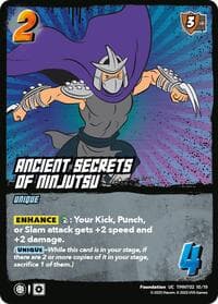 Ancient Secrets of Ninjutsu (TMNT02)