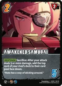 AWAKENED SAMURAI
