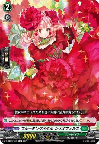 Blooming Petal, Caryophyllus
